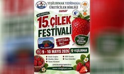 15’inci Geleneksel Çilek Festivali 9-10 Mayıs tarihlerinde yapılacak