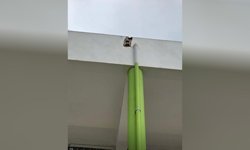 Ders Saatinde Okula Yıldırım Düştü: Facianın Eşiğinden Dönüldü