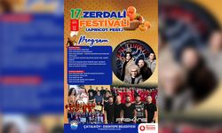 Çatalköy - Esentepe Belediyesi 17. Zerdali Festivali başlıyor