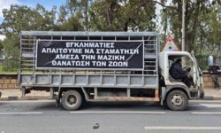 Güney Kıbrıs'ta Hayvancılar eyleme hazırlanıyor