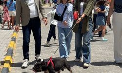 Alagadi’de evcil hayvanlar için festival düzenlendi