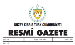 Onur Tümtürk, Para Kambiyo Dairesi Müdürü oldu