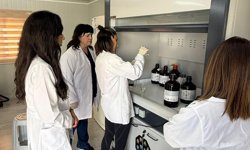TAGEM laboratuvarında Peroksit Sayısı ve Serbest Yağ Asitleri analizi de yapılabilecek
