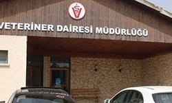 Veteriner Dairesi bayram öncesi denetimlerini sıklaştırdı…