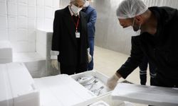 Değirmenlik Akıncılar Belediyesi Sağlık Şubesi 80 iş yerini denetledi, 775 ürün müsadere edildi