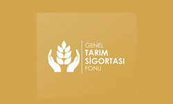 Çiçek hastalığı tazminat ödemeleri yapıldı