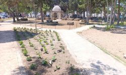 Girne Belediyesi’nden Baldöken Osmanlı Mezarlığı’na peyzaj düzenlemesi