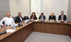 Hukuk, Siyasi İşler, Dışilişkiler ve Savunma Komitesi Yurttaşlık Değişiklik Yasa Tasarısı’nı onayladı