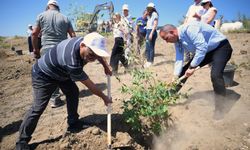 LTB, Haspolat'ta Endüstri Ormanı oluşturacak