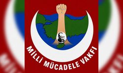 Milli Mücadele Vakfı, Kıbrıs sorunu konusunda eleştirilerde bulundu
