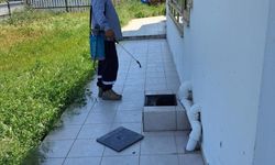 Mesarya Belediyesi haşereyle mücadele çalışmalarını sürdürüyor