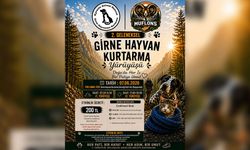 2.Geleneksel Girne Hayvan Kurtarma Yürüyüşü pazar günü düzenlenecek