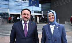 Türkiye-AB Karma Parlamento Komisyonu, AP’de temaslarda bulundu