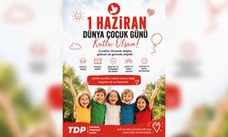 TDP: " 1 Haziran; çocukların haklarının, ihtiyaçlarının ve sorunların konuşulması gereken bir gün"