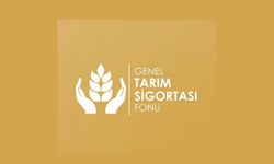 Doğrudan Gelir Desteği birinci avans ödemeleri bankalara yatırıldı