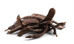 Lefke’de harup ve erkenci zeytin hasadı 24 Ağustos, yerli zeytin hasadı 14 Eylül’de...