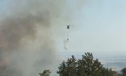 Tirmen’deki yangın söndürüldü