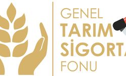 Genel Tarım Sigortası Fonu: “Dolu ve fırtına zararı için son müracaat cuma günü”