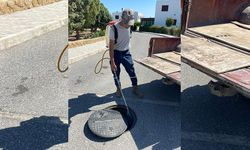 Tatlısu Belediyesi, Batı Nil Virüsü’ne karşı sivrisinekle mücadele çalışmalarını yoğunlaştırdı