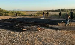 Üç çevre örgütünden Gülseren Sulak Alanı için “koruma” çağrısı