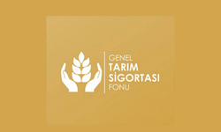 Üreticilere 15 Ekim'e kadar ek beyan süresi verildi