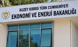 Sinek ilacı ve benzeri ürünler sıkı denetime tabi tutulmaya başlandı