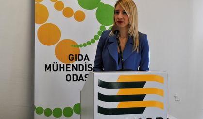 GMO: “Günlük sınır 50 şişe maden suyu içilirse aşılabilir”