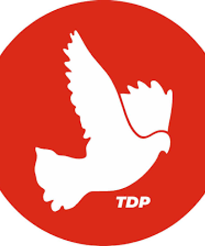 TDP, Ercan Havalimanı’ndaki embriyo olayının aydınlatılmasını istedi