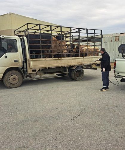LTB, şap hastalığına karşı tüm tedbirleri hayata geçiriyor