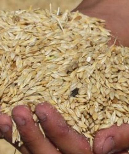 4 bin 500 ton arpanın yarın sabah Gazimağusa Limanı’na ulaşması bekleniyor