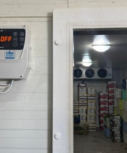 Gazimağusa Belediyesi: “800 kilo et ürünü imha edildi”