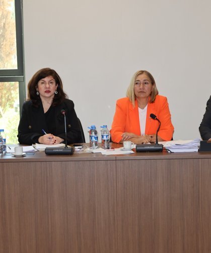Hukuk, Siyasi İşler, Dışilişkiler ve Savunma Komitesi bir öneri ve dört yasa tasarısını Genel Kurul’a sevk etti
