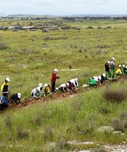 Mesarya bölgesinde 1000 fidan dikildi