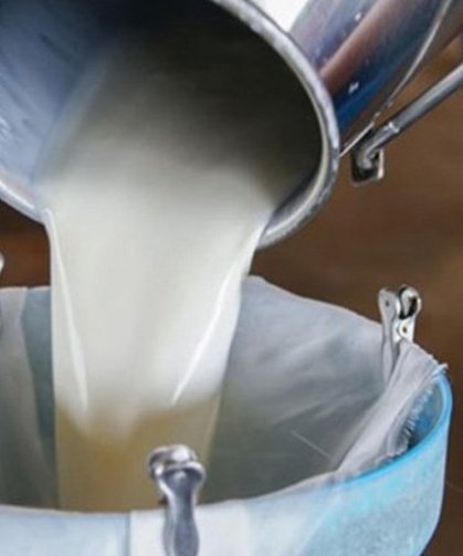 Süt bedelleri ödendi