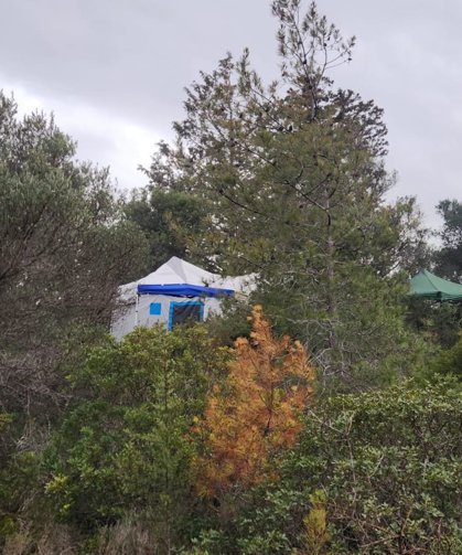 Diran’dan Yeniboğaziçi kamp alanı hakkında açıklama