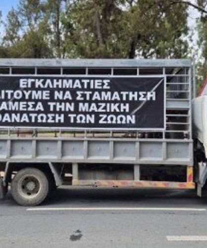 Güney Kıbrıs'ta Hayvancılar eyleme hazırlanıyor