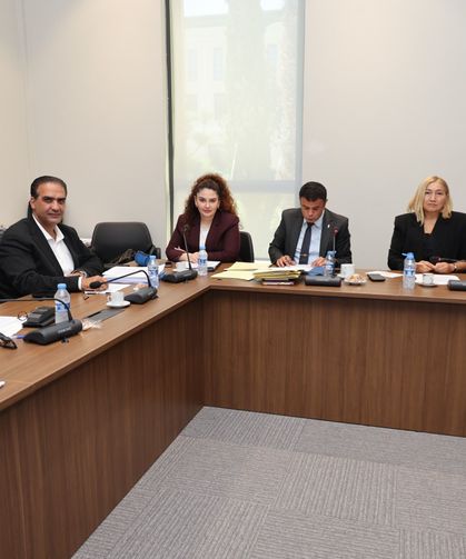 Hukuk, Siyasi İşler, Dışilişkiler ve Savunma Komitesi Yurttaşlık Değişiklik Yasa Tasarısı’nı onayladı