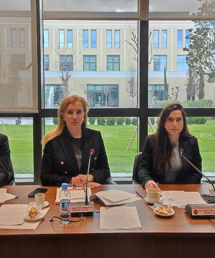 Ekonomi, Maliye, Bütçe ve Plan Komitesi bugün toplandı