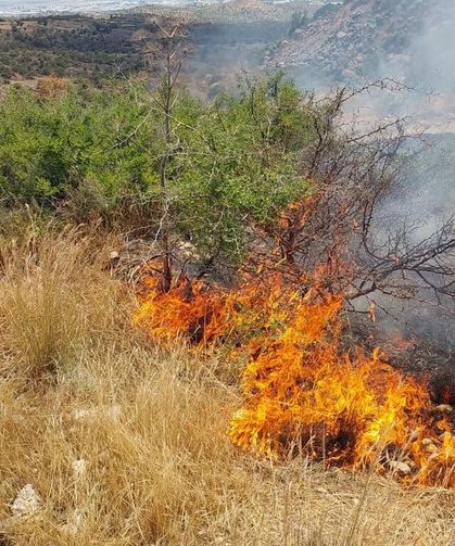 Taşkent’le Güngör arasındaki yangın söndürüldü