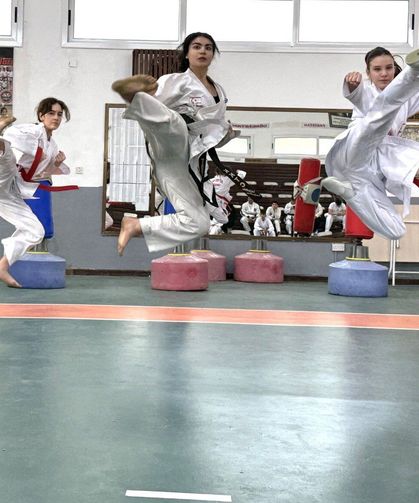 Taekwondocular Şükrü Arusan anısına yarıştı