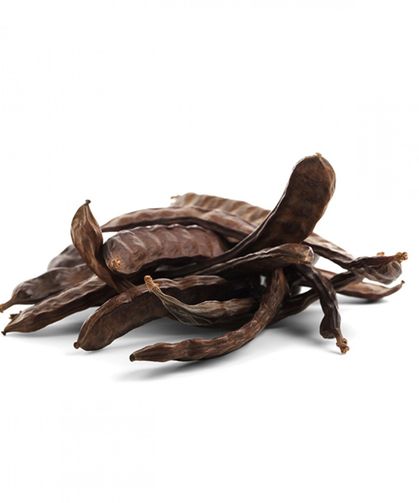 Lefke’de harup ve erkenci zeytin hasadı 24 Ağustos, yerli zeytin hasadı 14 Eylül’de...