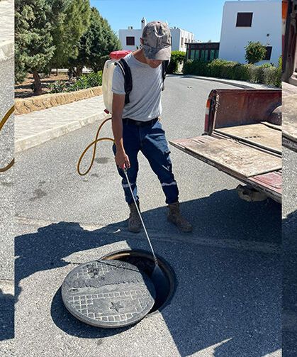 Tatlısu Belediyesi, Batı Nil Virüsü’ne karşı sivrisinekle mücadele çalışmalarını yoğunlaştırdı