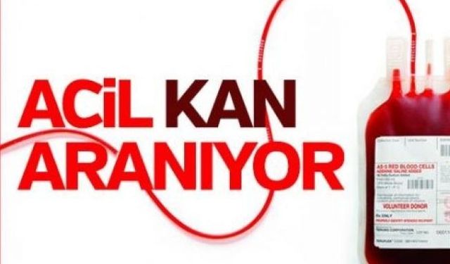 Çok acil A RH + kan aranıyor!