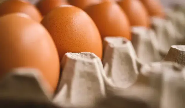 40 bin dolar değerinde 100 bin yumurta çalındı
