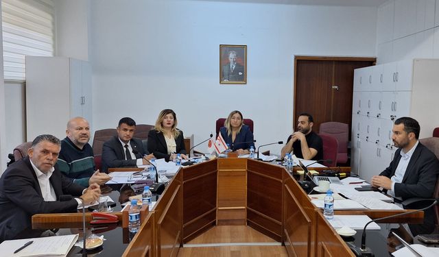 Meclis Komitesinde 1 Yasa Tasarısı, 2 de Yasa Önerisi görüşüldü
