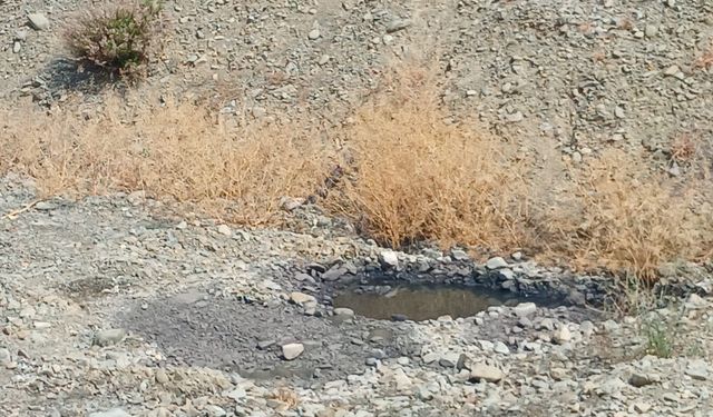 Lefke Çevre ve Ekoloji Derneği’nden lağım suları sorununa kalıcı çözüm çağrısı