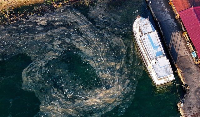 Müsilaj, Marmara Denizi'nde dipte yoğunlaşıyor