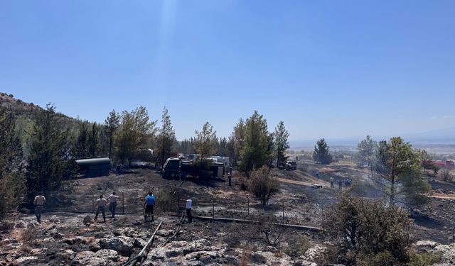 Dikmen’deki yangın kontrol altına alındı… Soğutma çalışmaları sürüyor