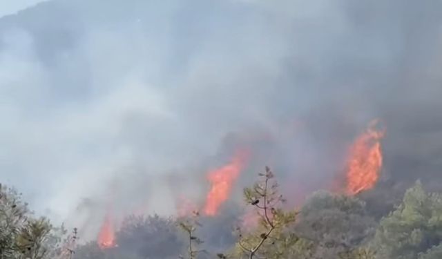 Ciklos'taki yangın nedeniyle Boğaz kavşağı ile Girne alt-üst geçit arası trafiğe kapatıldı