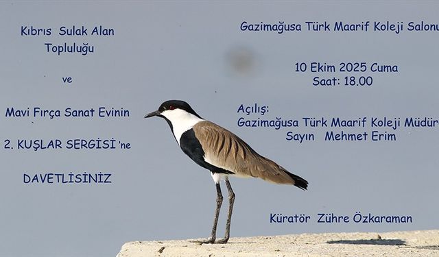 “2. Kuşlar” sergisi yarın Gazimağusa'da açılıyor
